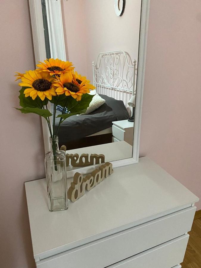 Apartment Sunflower021 Novi Sad Extérieur photo